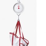 BÁSCULA MECÁNICA  SECA 310