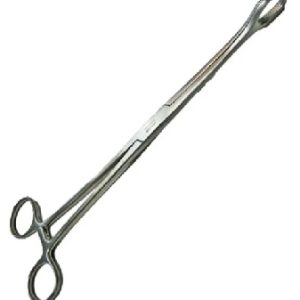 FORESTER PINZA PORTA ESPONJA RECTA/CURVA